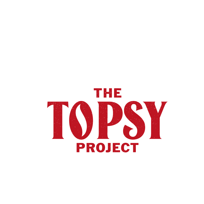 the topsy project